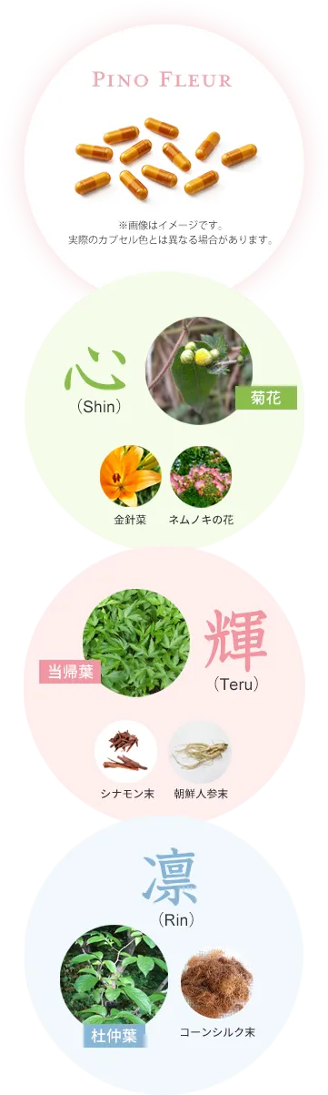 天然素材の生薬